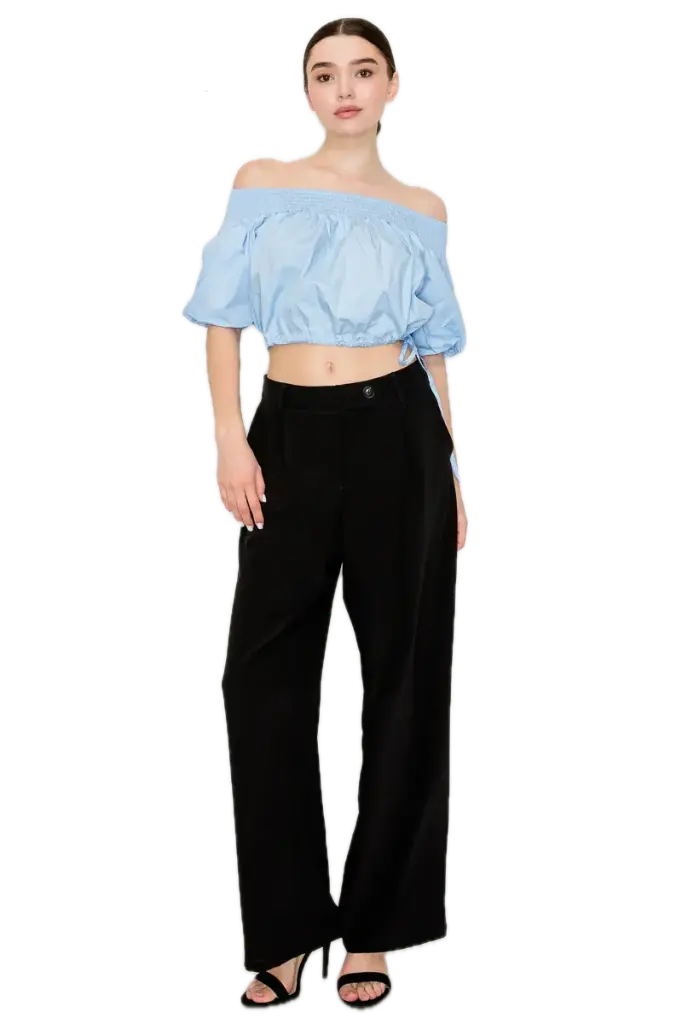 IP9279 High-Waist Pleated Wide Leg Pants