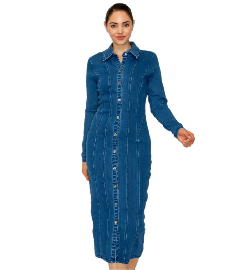 HMD14603 Denim Button-Down Seamed Dress